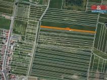 Prodej zemědělské půdy, Terezín, 250 m2