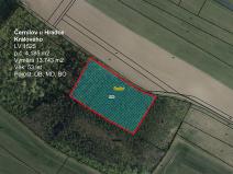 Prodej lesa, Černilov, 13743 m2