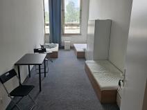 Pronájem ubytování, Brno, 480 m2