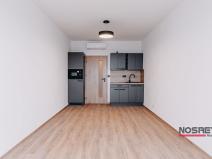 Pronájem apartmánu, Brno, Čechyňská, 20 m2