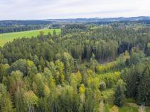 Prodej lesa, Všeradov, 2232 m2