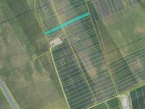 Prodej zemědělské půdy, Ladná, 4025 m2
