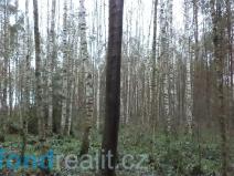 Prodej lesa, Myslkovice, 9683 m2