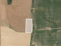 Prodej zemědělské půdy, Lochousice, 11003 m2