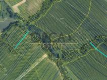 Prodej zemědělské půdy, Mistřice, 6356 m2