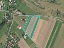 Prodej pozemku pro bydlení, Litíč, 12551 m2