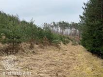 Prodej lesa, Vrchotovy Janovice, 50552 m2