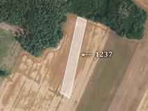 Prodej lesa, Šebířov, 7815 m2