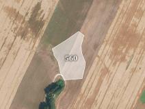 Prodej zemědělské půdy, Šebířov, 7815 m2