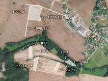 Prodej trvalého travního porostu, Šebířov, 7815 m2