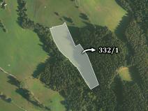 Prodej trvalého travního porostu, Velké Karlovice, 21386 m2