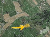 Prodej louky, Janovice nad Úhlavou - Petrovice nad Úhlavou, 16774 m2