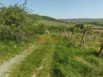 Prodej pozemku, Bořetice, 1245 m2