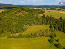 Prodej trvalého travního porostu, Mladý Smolivec - Starý Smolivec, 13489 m2