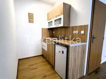 Prodej bytu 1+kk, Bohumín, P. Cingra, 30 m2