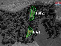 Prodej lesa, Horka nad Moravou, 2252 m2