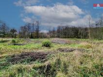 Prodej pozemku pro bydlení, Františkovy Lázně - Žírovice, 1000 m2