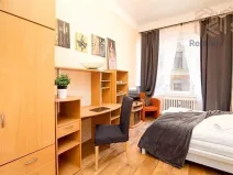 Pronájem bytu 1+kk, Praha - Nové Město, Ve Smečkách, 23 m2