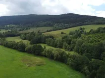 Dražba louky, Dešenice, 67850 m2