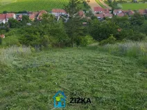 Prodej zahrady, Viničné Šumice, 942 m2