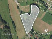 Prodej podílu lesa, Světlá nad Sázavou, 5589 m2