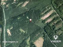 Prodej podílu lesa, Morávka, 3649 m2