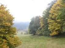 Dražba louky, Přimda, 35381 m2