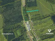 Prodej podílu lesa, Veletiny, 393 m2