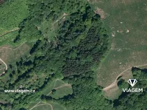 Prodej podílu lesa, Brumov-Bylnice, 1301 m2