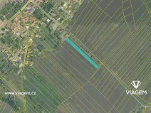Prodej podílu pole, Opatovice, 1964 m2