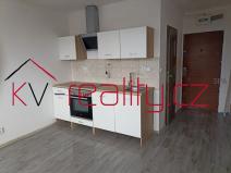 Pronájem bytu 1+1, Ostrov, 26 m2