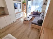 Pronájem bytu 1+kk, Olomouc, Eduarda Hamburgera, 33 m2