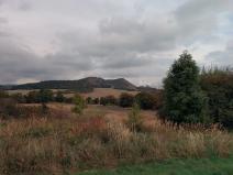 Prodej lesa, Kozly, 6000 m2