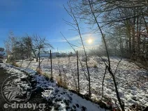 Dražba zahrady, Oldřiš, 1180 m2