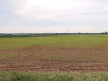 Prodej pole, Zdětín, 17648 m2