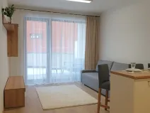 Pronájem bytu 2+kk, Praha - Žižkov, Basilejské náměstí, 58 m2