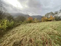 Dražba louky, Děčín, 4431 m2