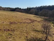 Prodej louky, Úhlejov, 46786 m2