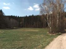Dražba louky, Humpolec, 4000 m2