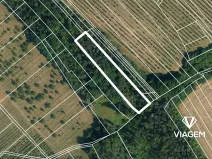 Prodej podílu lesa, Semtěš, 1627 m2