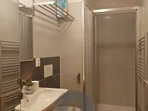 Pronájem bytu 1+kk, Brno, Pastviny, 28 m2