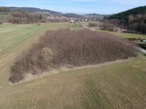Prodej komerčního pozemku, Čkyně, 10200 m2