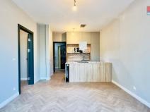 Pronájem bytu 2+kk, Opava - Předměstí, Riegrova, 54 m2