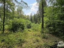 Prodej pozemku pro bydlení, Jevany, Ve Smrčinách, 1186 m2
