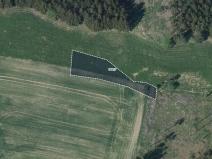 Prodej louky, Brtnička, 14593 m2