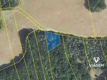 Prodej lesa, Vráž, 824 m2