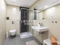 Prodej bytu 1+kk, Praha - Karlín, Vítkova, 29 m2