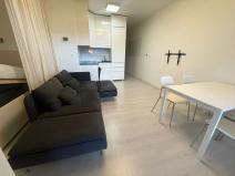 Pronájem bytu 1+kk, Praha - Malešice, 38 m2