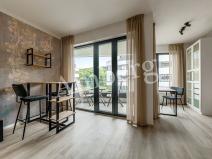 Pronájem bytu 1+kk, Praha - Karlín, U Sluncové, 33 m2