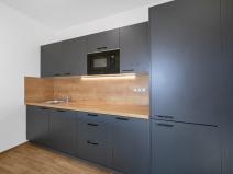 Pronájem bytu 1+kk, Zruč-Senec - Zruč, Sportovní, 62 m2